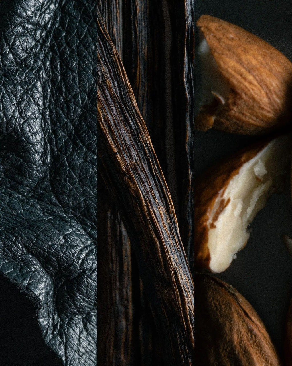 Leather Solaris ingredients triptych