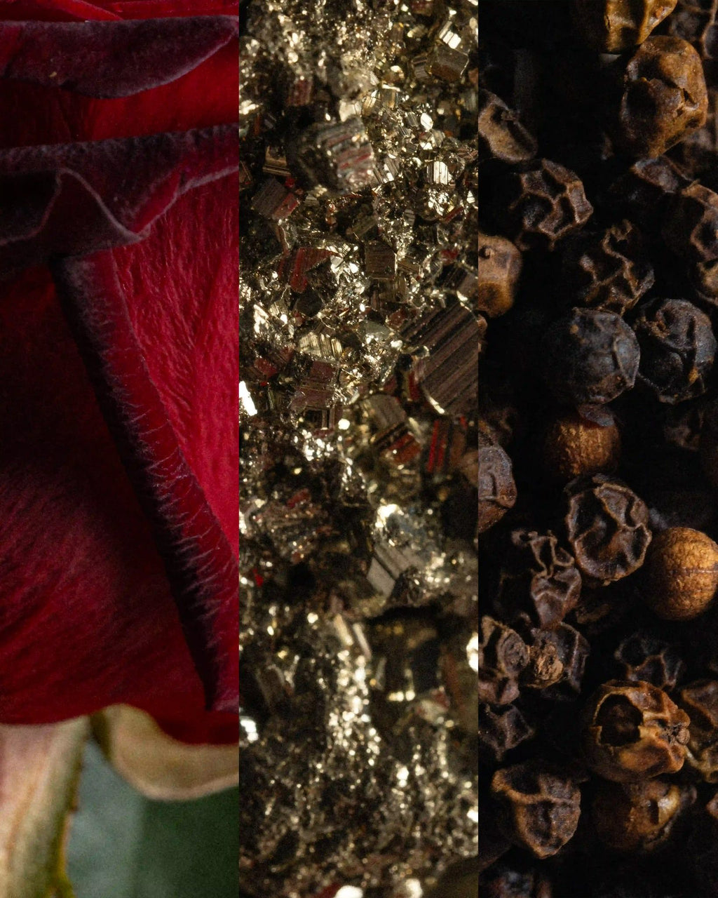 Wild Rose Vice ingredients triptych