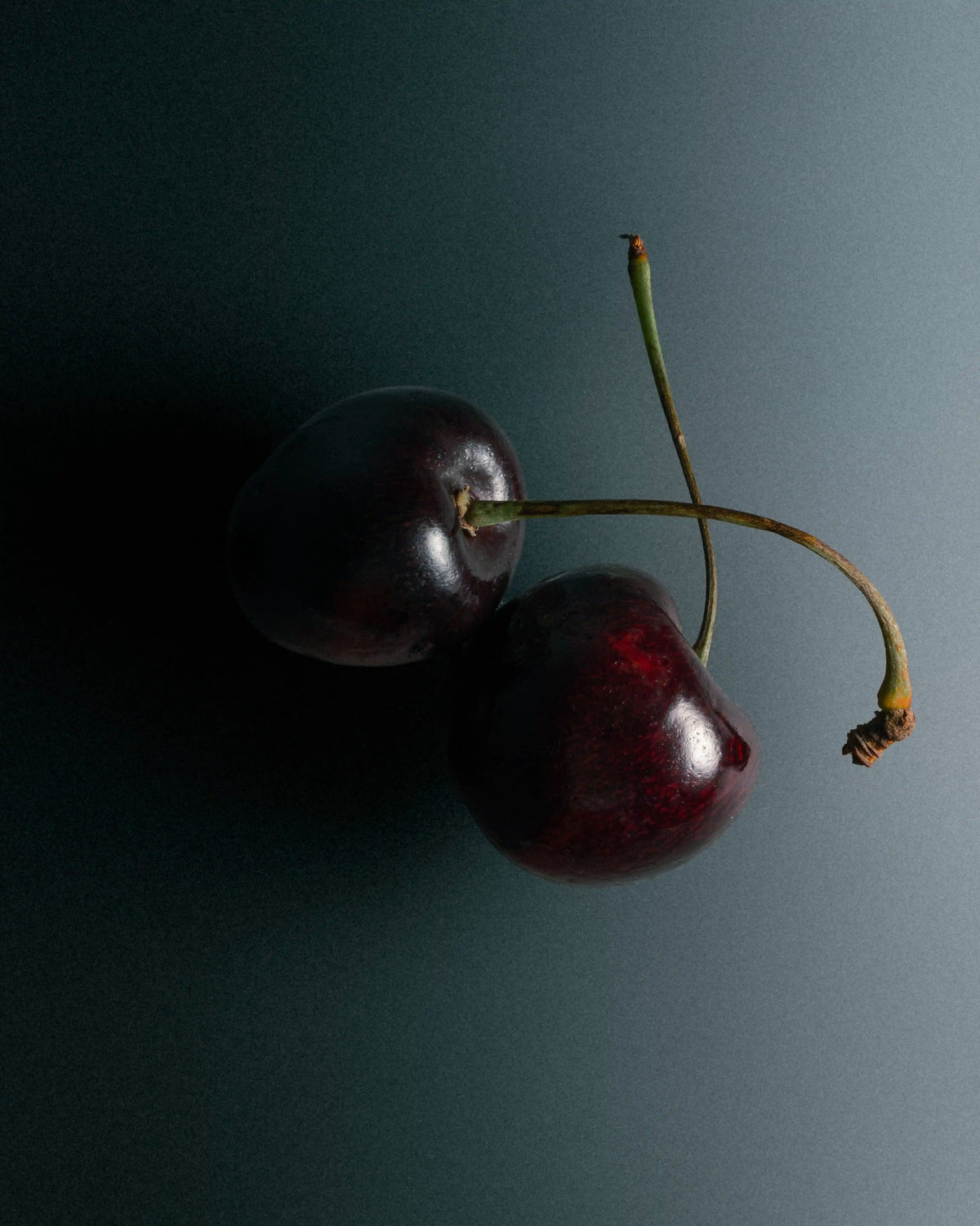 Black Cherry Vice hero ingredient
