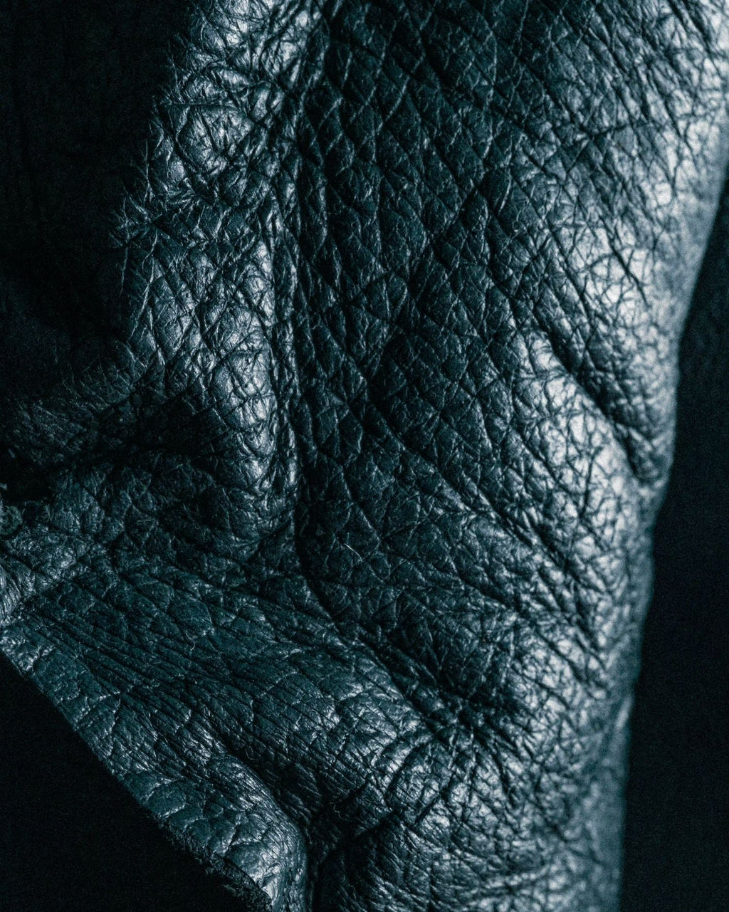 Leather Solaris ingredient: leather