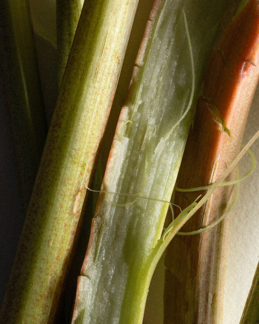 Vanille L'Amant ingredient: rhubarb