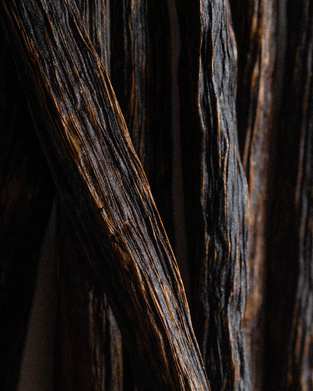 Leather Solaris ingredient: vanilla