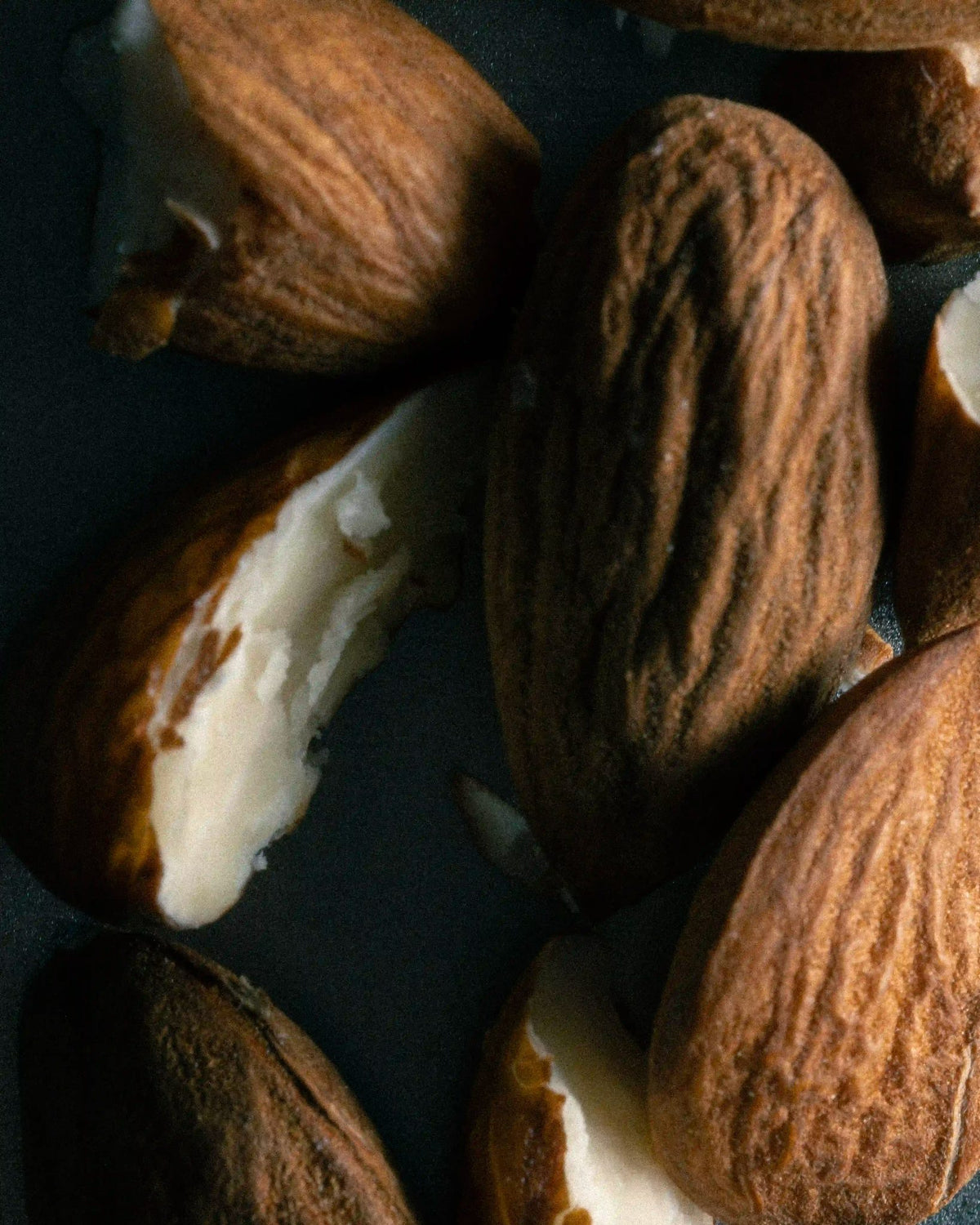 Leather Solaris ingredient: almond