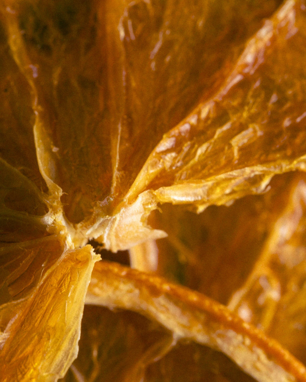 Bourbon Dusk ingredient: burnt orange